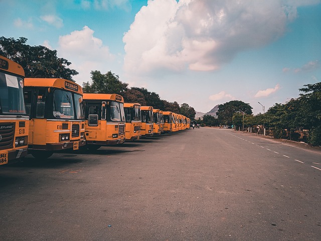 buses