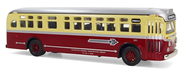 buses