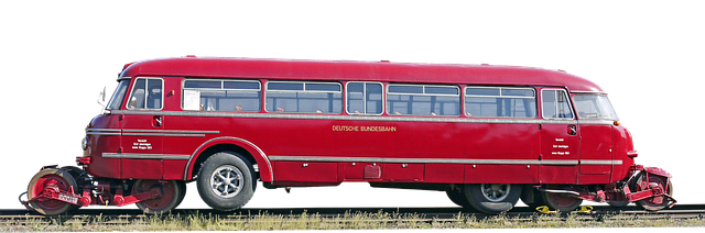buses