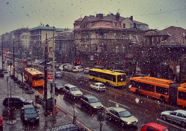 buses