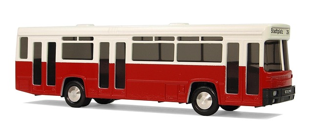 buses