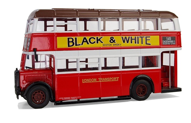 buses