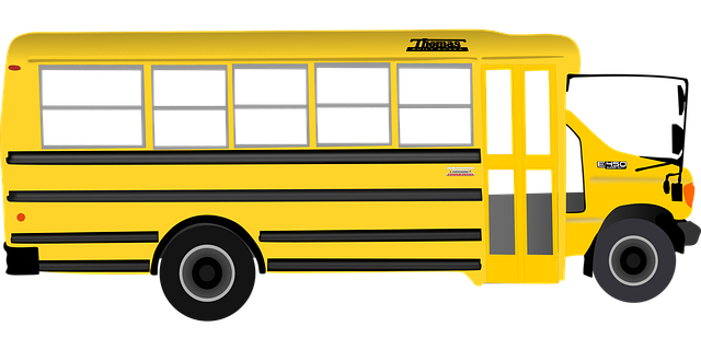 buses