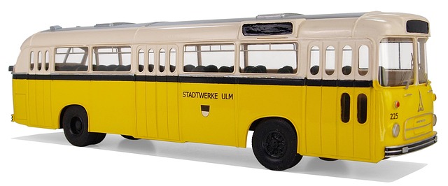 buses