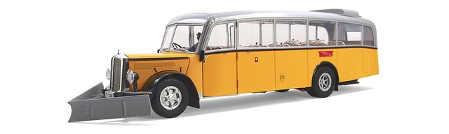 buses