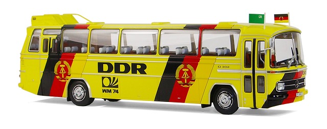 buses