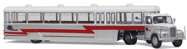 buses