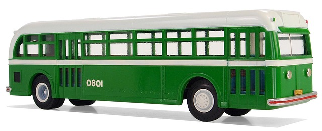 buses