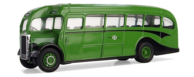 buses