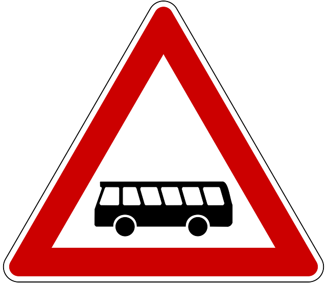buses