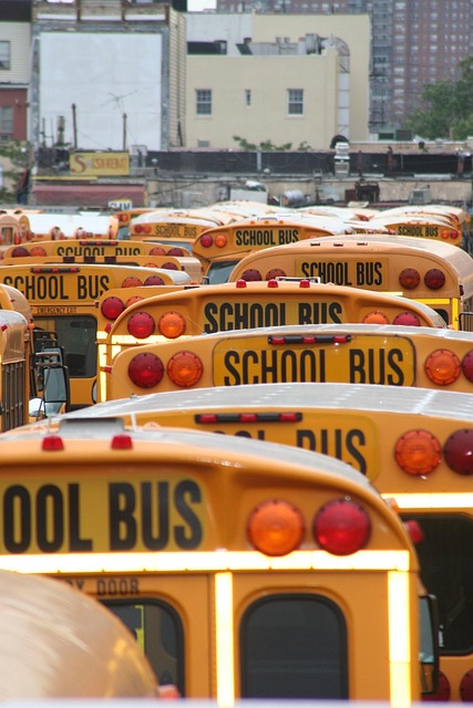 buses