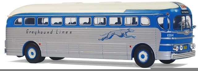 buses