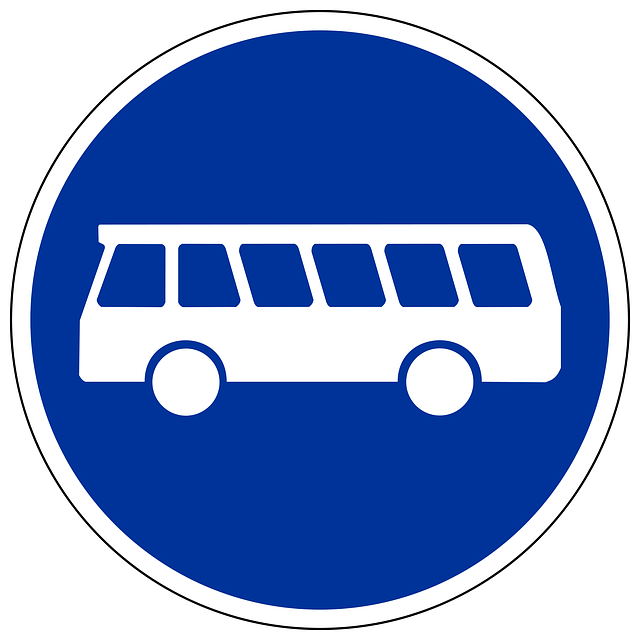buses
