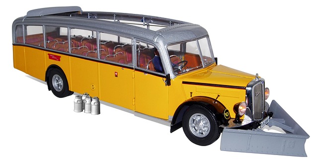 buses