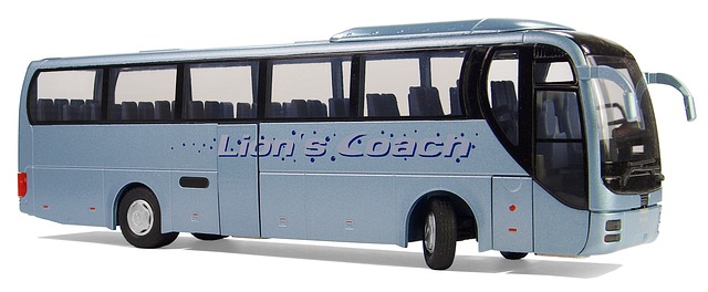 buses