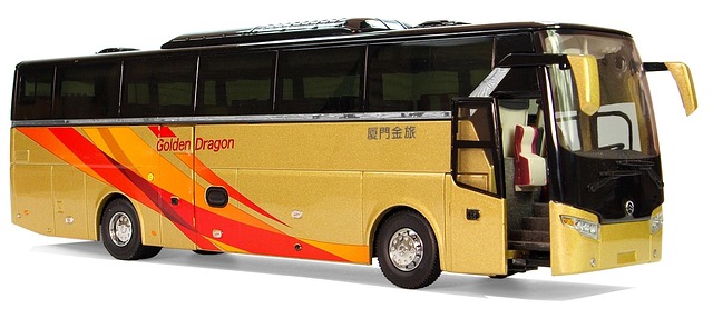 buses