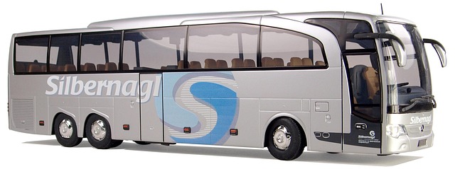 buses