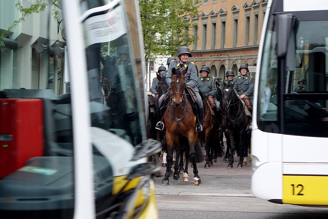 buses