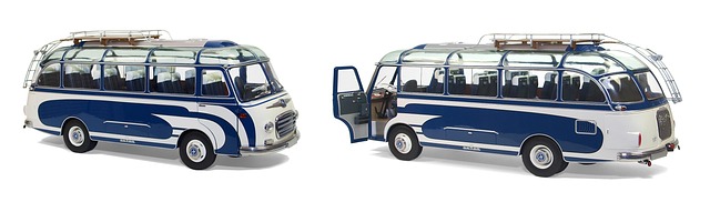 buses