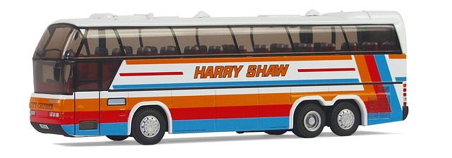 buses