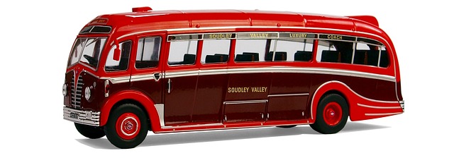 buses