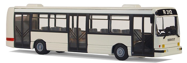 buses