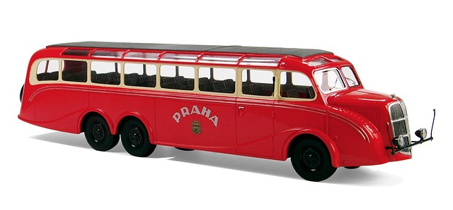 buses