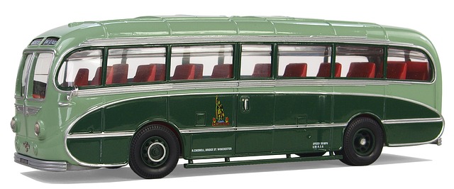 buses