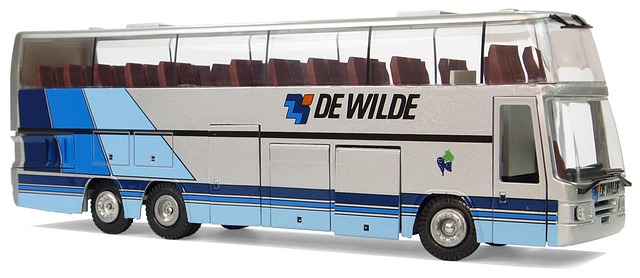 buses