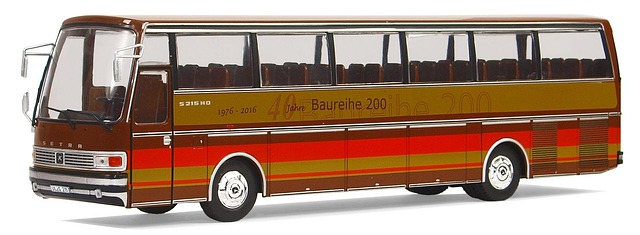 buses