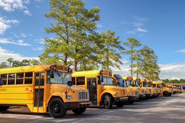 buses