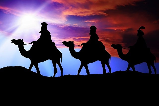 Camel Rides in Dubai: Choosing Tours & Exploring Unique Options