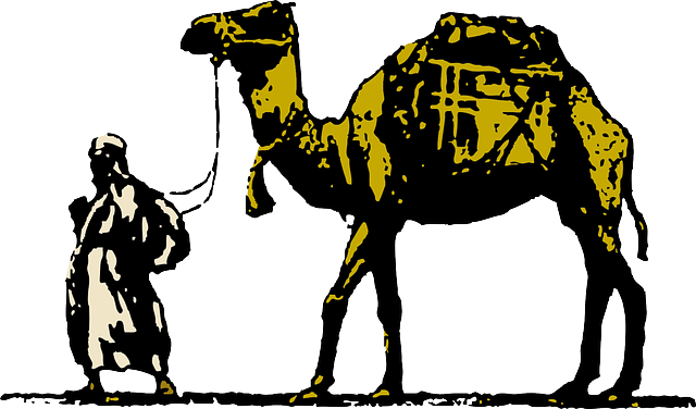 camel-640x480-69203246.png