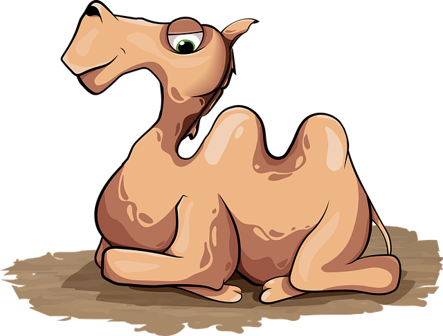 camel