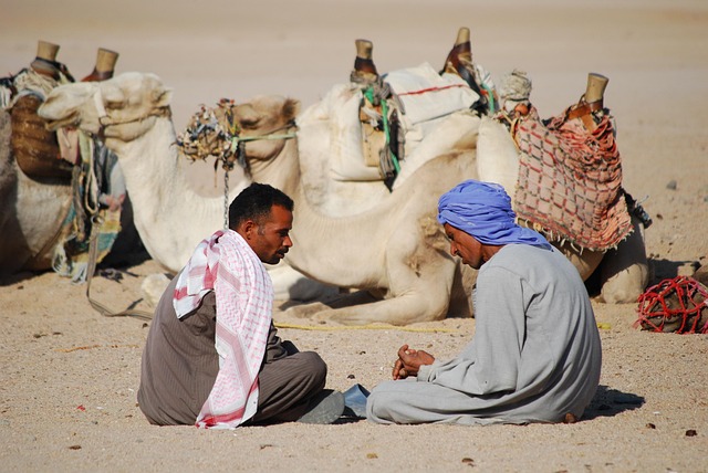 camel-640x480-97911017.jpeg