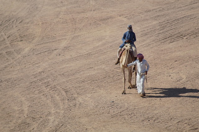 Quad Biking & Camel Riding: Extreme Adventures in Dubai’s Dunes