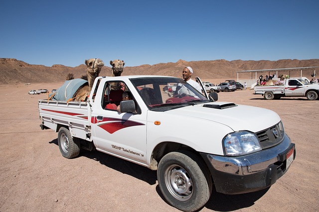 Camel Riding
