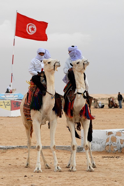 Camel Riding