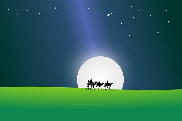 camel-riding-640x480-54715931.jpeg