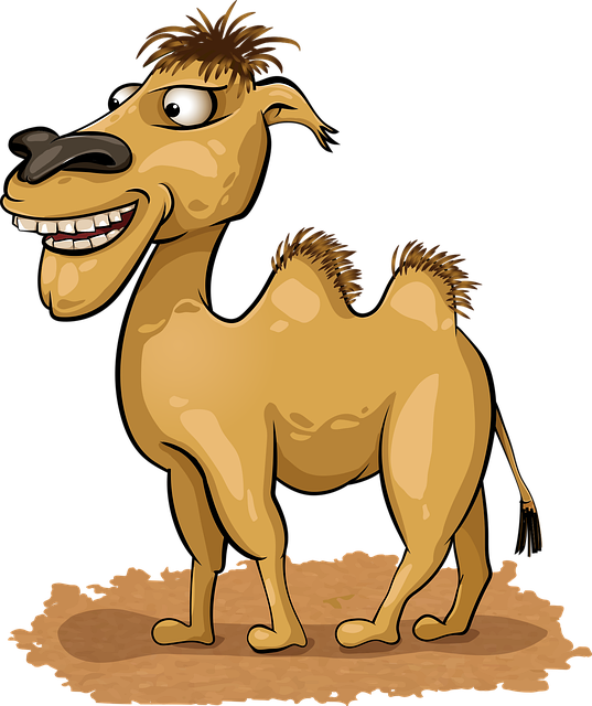 Camel Riding