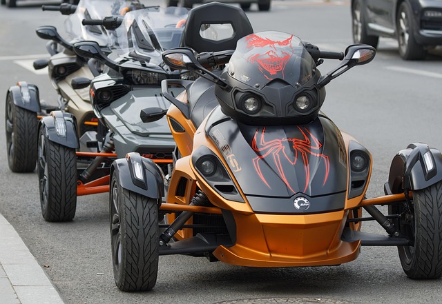 Can-Am Buggy