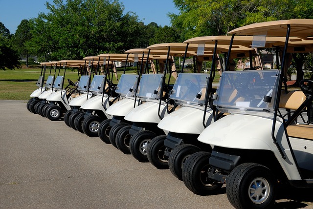 can-am-buggy-640x480-51345144.jpeg