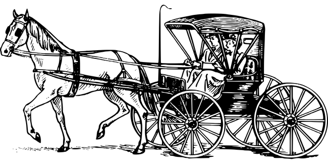 can-am-buggy-640x480-51857868.png