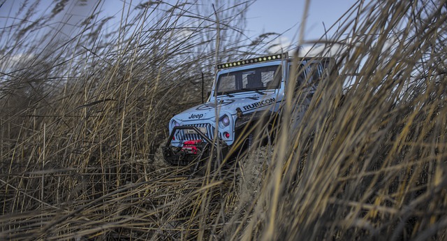 Can-Am Buggy