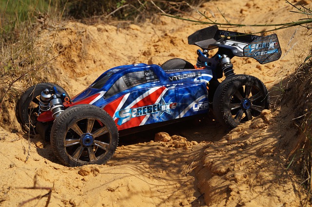 Can-Am Buggy