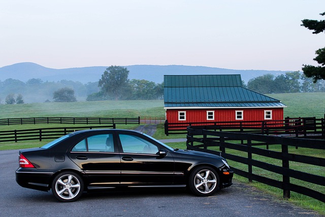 Car Rental