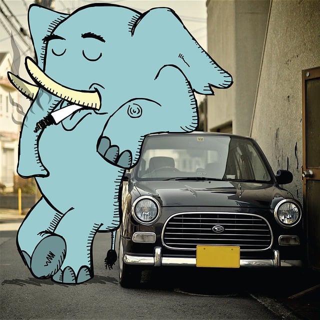 car rental