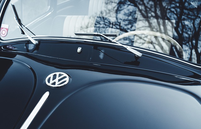 cars rental