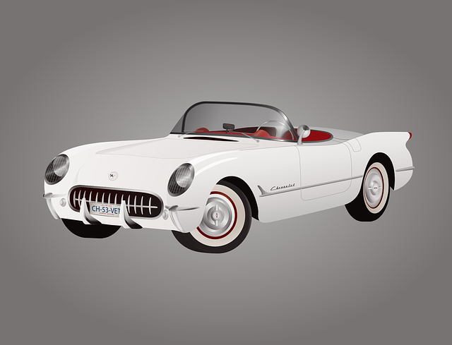 cars rental