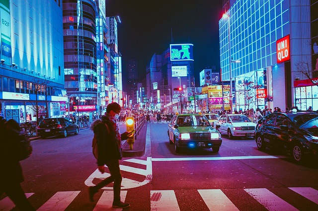 city tou